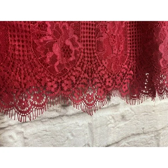 Anthropologie MAEVE Open Back Lace Mini Dress 4P Petites Pockets Stretch 9301 - Picture 8 of 14